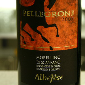 morellino morellino
